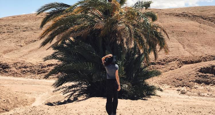 Randonnée à dos de chameau dans le désert et l'oasis d'Agafay - Morocco Getaway Ltd  3