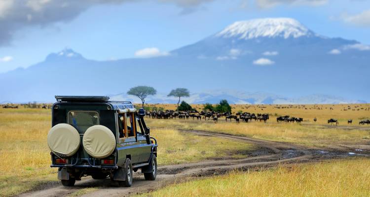 Kenia y Tanzania: Safari en un glamping con los Cinco Grandes - journaway DACH 2