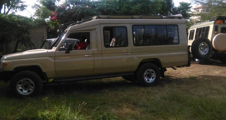 Excursion d'une journée à Tarangire - theKili-Guides 2