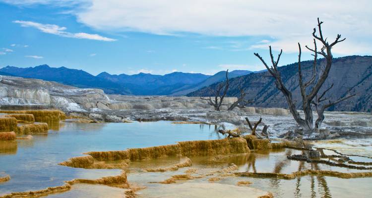 Montana: Explorando Big Sky Country con los Parques Nacionales de Yellowstone y los Glaciares (Bozeman, MT a Missoula, MT) (Alternativa) - Collette 3