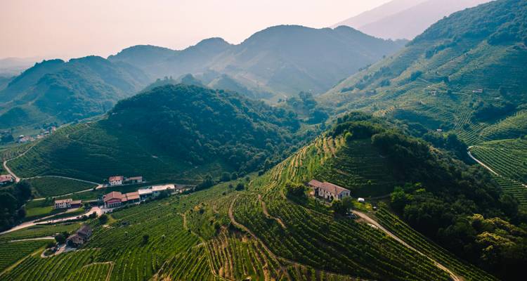 Luchtfoto van glooiende heuvels bedekt met wijngaarden in de Prosecco-regio van Italië in zachte nevel.