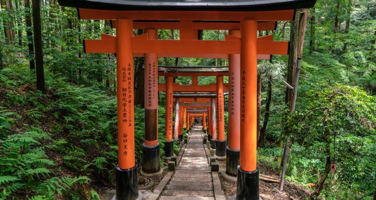 Paquete Lo Mejor de Japón en 10 días - Tourist Journey 7