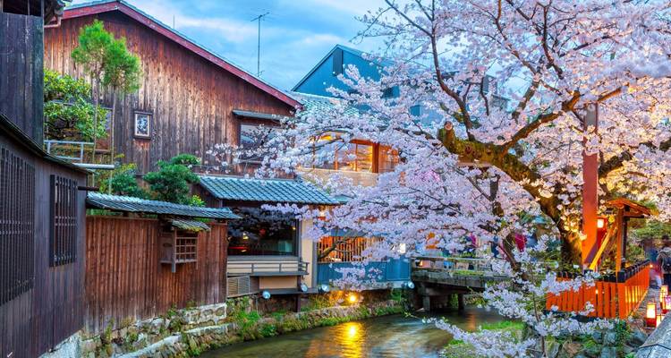 Paquete Lo Mejor de Japón en 10 días - Tourist Journey 8