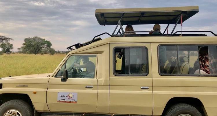 Safari de 4 Días a la Migración del Serengeti-Cruce del río Mara - Lights on Africa Destinations & Safaris 3