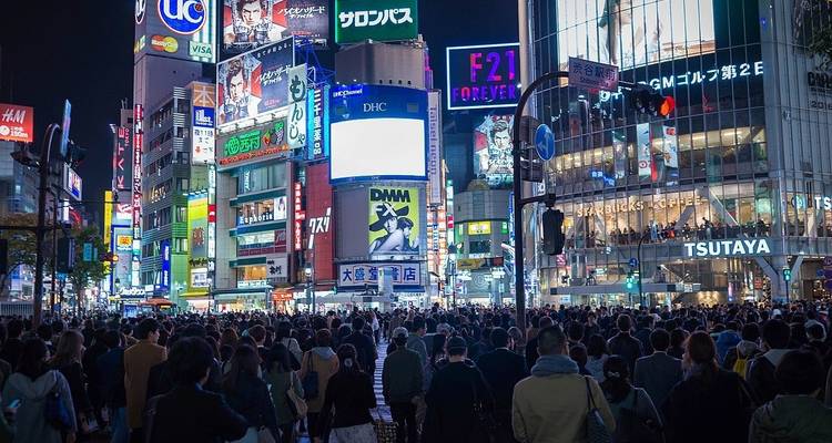 Japon : Partagez un voyage - Vio Travel 6
