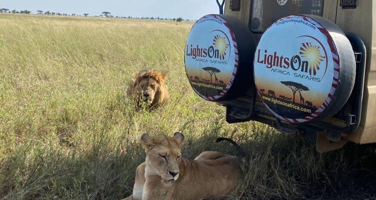 Safari migration du Serengeti de 3 jours - Rivière Mara - Arrivée en avion - Lights on Africa Destinations & Safaris 3