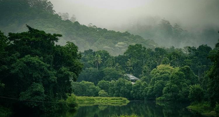 Magia monzónica en Kerala con hoteles de 4 estrellas - Ramble Advisor 7