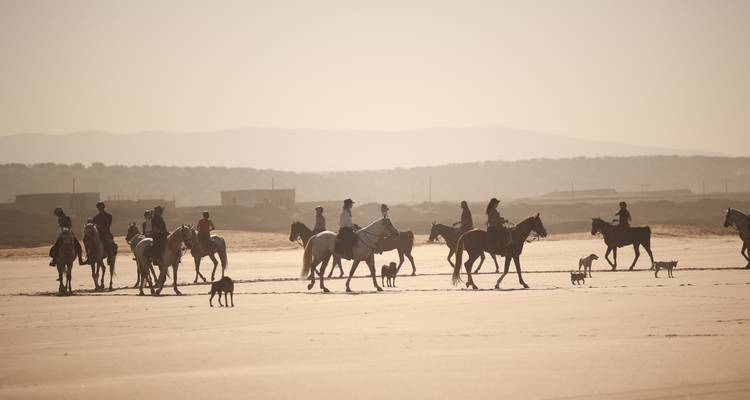 Gruppe von Reitern und Hunden an einem Sandstrand.