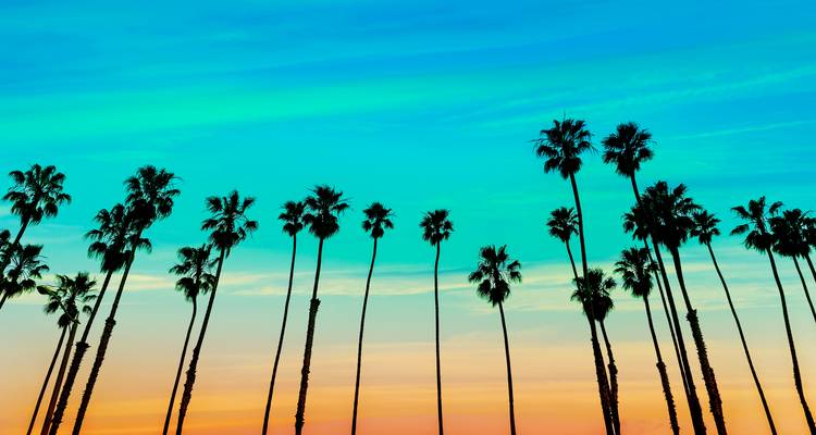 Best of Cali Express - 3 days - On The Go Tours 4