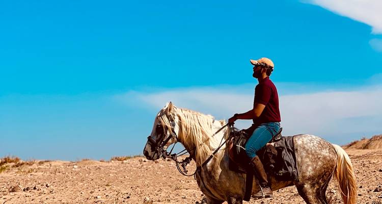 Ruta a Caballo de 6 Días: Descubre las Joyas Ocultas de Zerrar - Espoir cheval Essaouira 8
