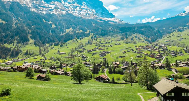 Viaje de 6 días a Suiza (Estancia en Zúrich e Interlaken) - WiseYatra 7