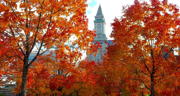 Colores de Otoño (9 días, traslado al aeropuerto de Boston y al hotel después del viaje) (including Rockport) - Trafalgar 4