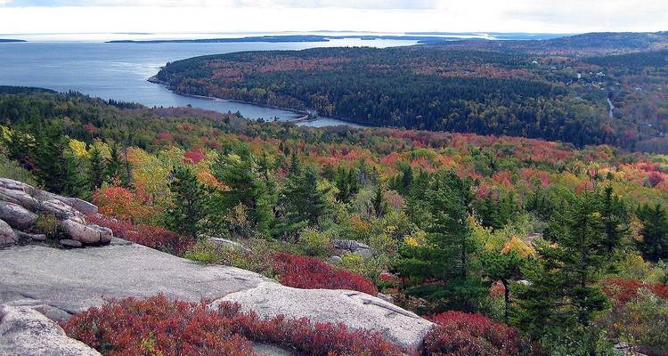 Aerial view of autumn landscape in Acadia National Park, USA.