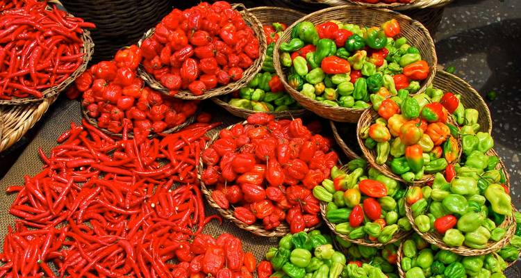 Coloré éventail de poivrons et piments en exposition.