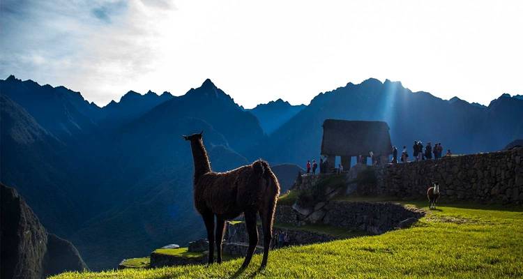 Aventure exclusive : Circuit privé de 2 jours sur le Chemin de l'Inca - Valencia Travel Cusco 3