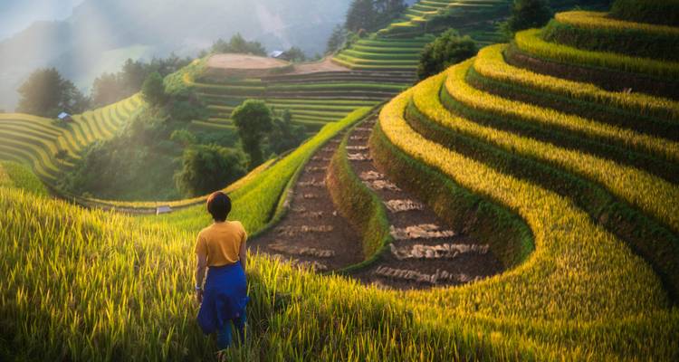 Viaje a Vietnam: Sinfonía de montañas y mares: una aventura de 8 días - Vietnam Tour Fun 2