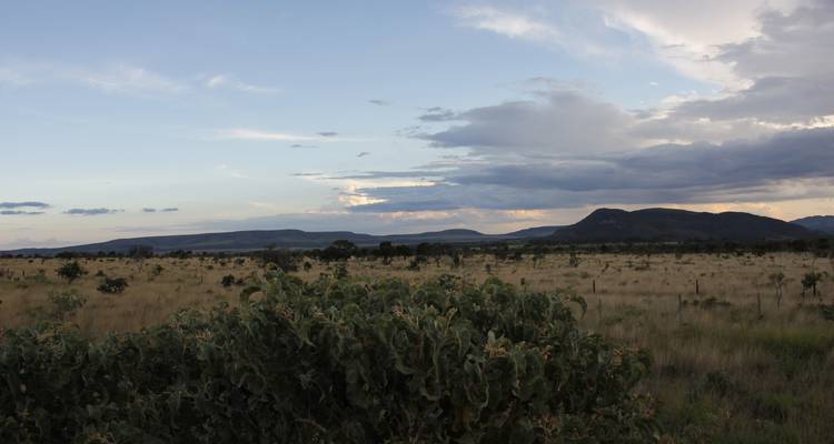 Experiencia en Chapada dos Veadeiros - Nattrip 1