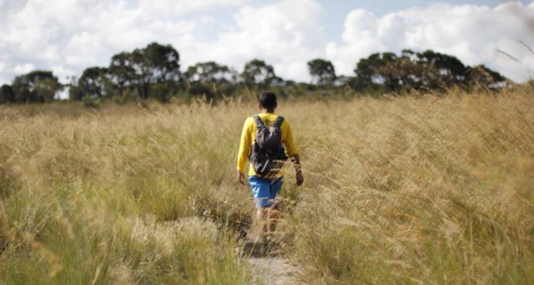 Experiencia en Chapada dos Veadeiros - Nattrip 8