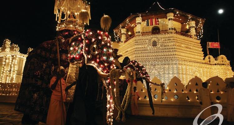 Een rijkelijk versierde olifant met verlichte constructies erachter.