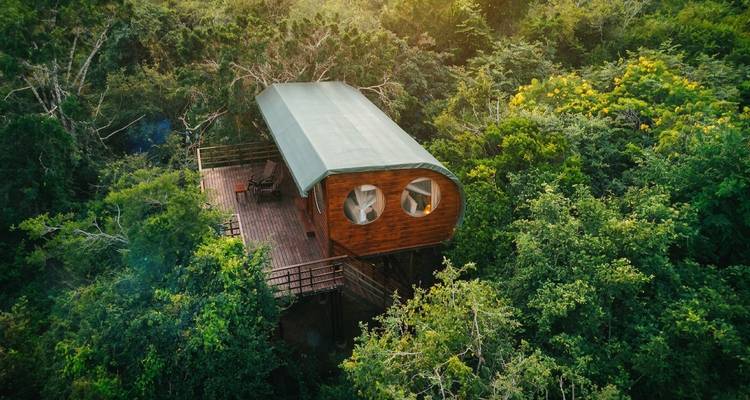 Abgeschiedene hölzerne Baumhauslodge mit Segeltuchdach, eingebettet hoch zwischen dichtem grünem Dschungellaub.