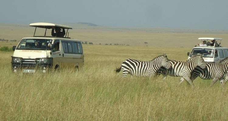Kenya's Wilderness: A 7-Day Safari Adventure - Wonderful Holidays UK 2