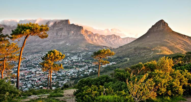 Aventura en Sudáfrica: De Cape Point a la Estancia Salvaje - journaway 5