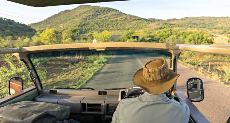 Aventura en Sudáfrica: De Cape Point a la Estancia Salvaje - journaway 6