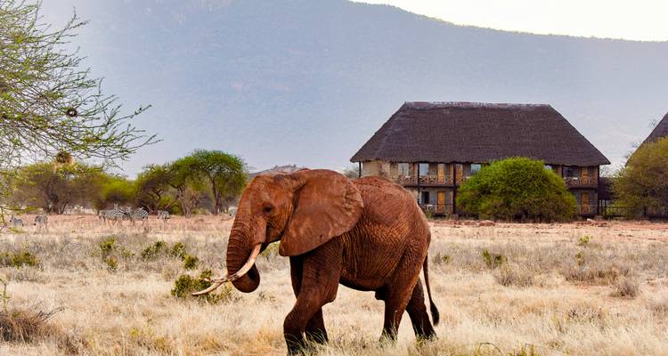 Aventura en Sudáfrica: De Cape Point a la Estancia Salvaje - journaway 8