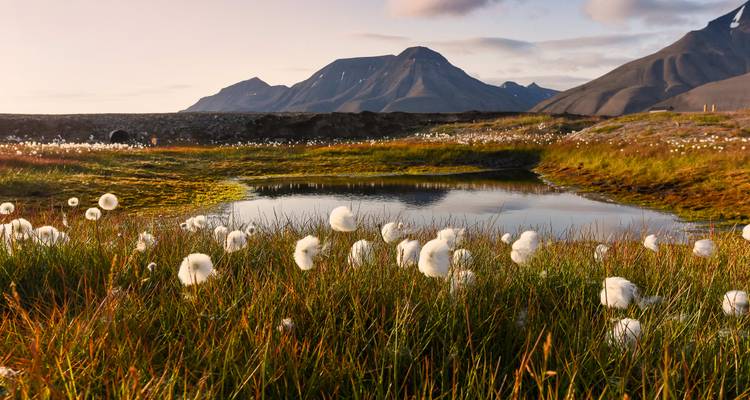 Aventura en Spitsbergen: Vibraciones de fiordos y noches árticas (from Tromso to Longyearbyen) - journaway 8