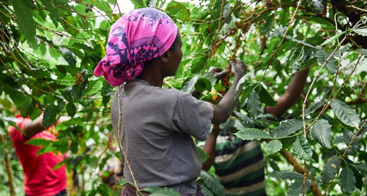 Sudáfrica Intensa: Glamping con vida salvaje y conocimientos locales - journaway 3