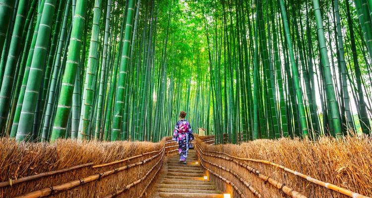 Une personne en tenue traditionnelle marchant sur un sentier dans une forêt de bambous.
