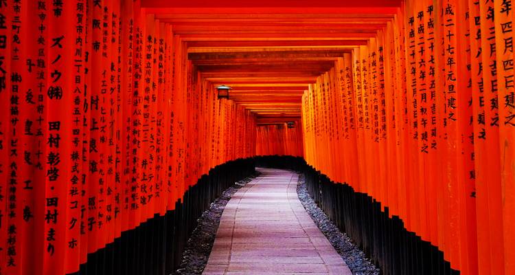 Endless vermilion torii gates form a narrow tunnel along a winding stone path
