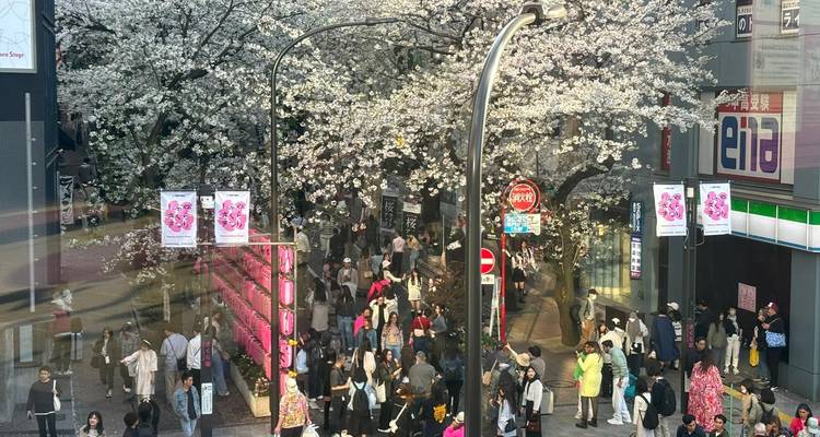 Crowds gather beneath blooming cherry blossoms on a bustling city street lined with neon signs