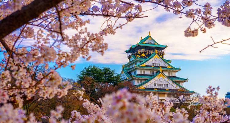 Iconic Osaka Castle framed by vibrant cherry blossoms under a blue spring sky