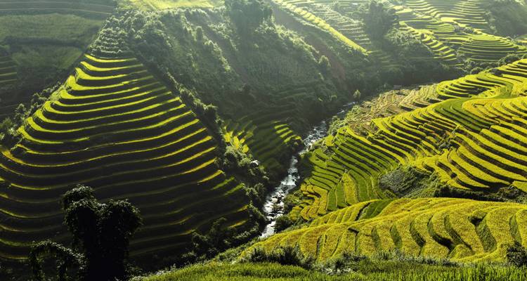 Exploring Vietnam: A 17-Day Adventure - Vietnam Tour Fun 2