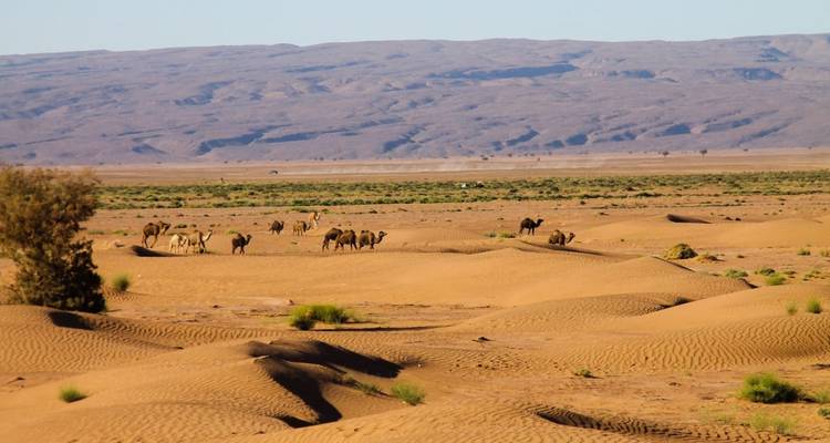 5 Días por Marruecos desde Marrakech - SAHARA EYES 3