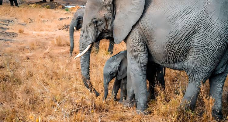 Circuito de un día al Parque Nacional de Arusha - theKili-Guides 3