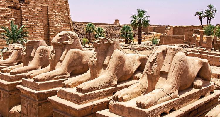 Reihe von Sphinx-Statuen an einer ägyptischen archäologischen Stätte.