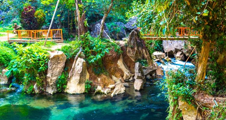 Un cours d'eau limpide s'écoule près de rochers et d'un pont en bois dans un cadre de jungle luxuriante