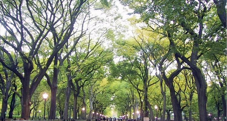 New York for Insiders (5 nights) - DERTOUR 10