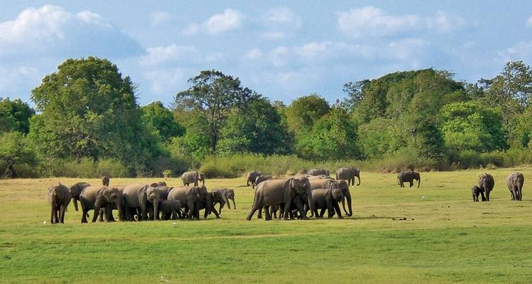 Wildlife Safari - DERTOUR 2