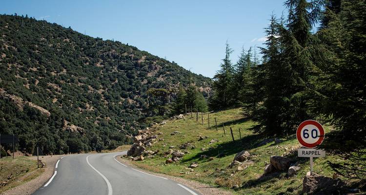 Carretera de montaña con curvas que atraviesa laderas verdes bajo un cielo despejado con una señal de límite de velocidad de 60 km.