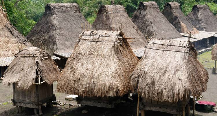 Traditionelle Reetdachhäuser in einem Dorf.