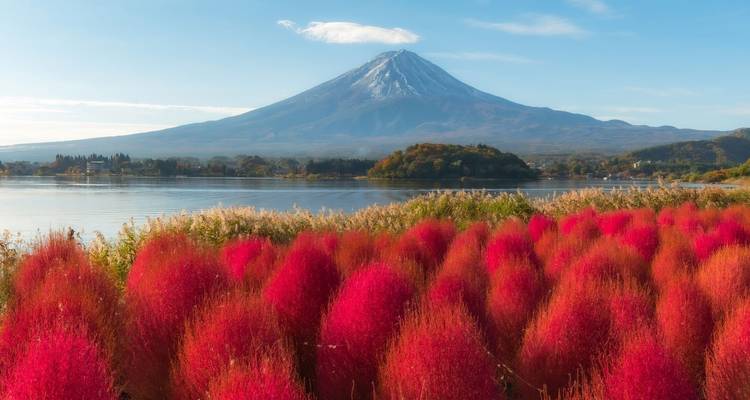 Circuit meilleur du Japon - forfait de 8 jours - Tourist Journey 4