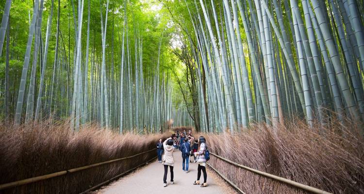 Circuit meilleur du Japon - forfait de 8 jours - Tourist Journey 10
