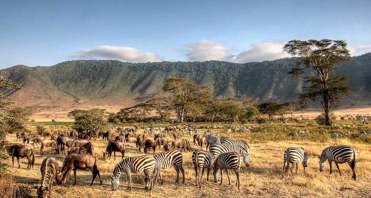 Safari de Aventura de 6 días en Tarangire, Ngorongoro y Serengeti - Lights on Africa Destinations & Safaris 1