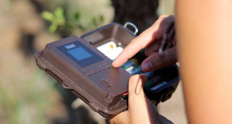 Close-up van een persoon die een volgapparaat gebruikt in de wildernis.
