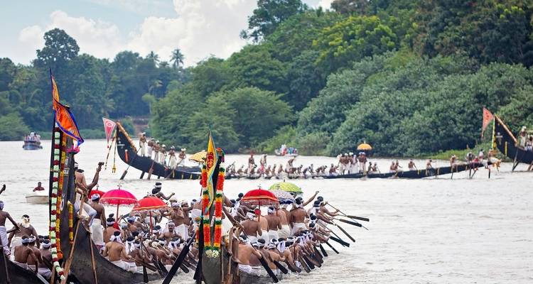 7 Days Private Kerala Tour from Cochin - Yoganshi Travel 2