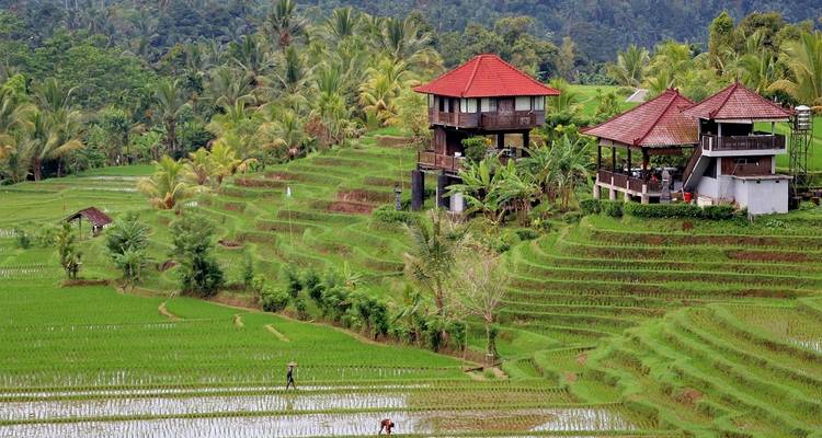 5 Days in Bali including Bali Instagram Tour: Lempuyang Temple, Goa Raja Waterfall and More - STM Tours LLC 2