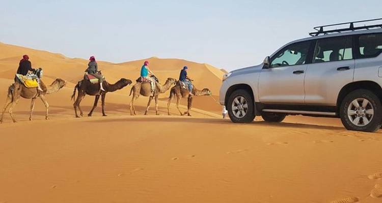 SUV and camel caravan journey across soft orange dunes of the Sahara.